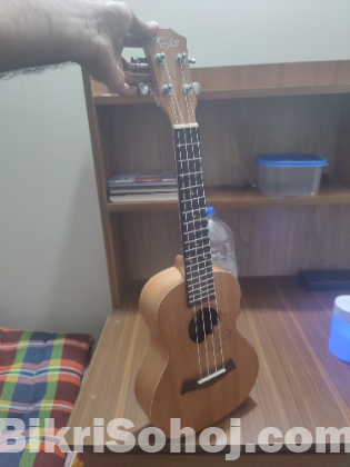 Ukulele for sale